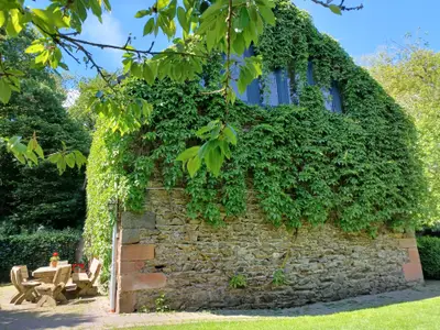 Ferienwohnung für 4 Personen (90 m²) in Wallscheid 1/10