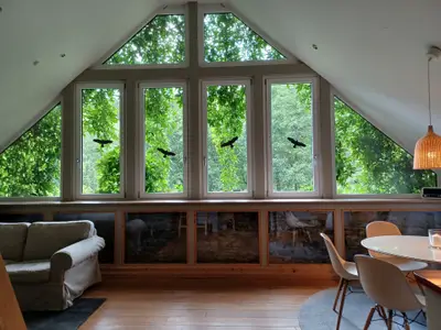 Ferienwohnung für 6 Personen (90 m²) in Wallscheid 1/10