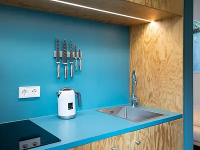 Ferienwohnung für 3 Personen (25 m²) in Walsheim 2/10