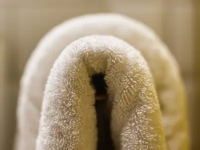 Ferienwohnung für 3 Personen (35 m²) in Walsheim 9/10