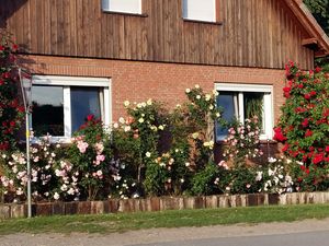 Ferienwohnung für 4 Personen (60 m²) in Walsrode