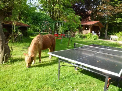 Tischtennis