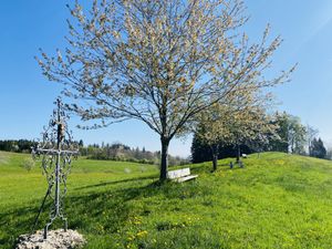 18987431-Ferienwohnung-3-Waltenhofen-300x225-3