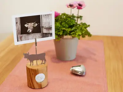 Schwalbennest Wohnküche