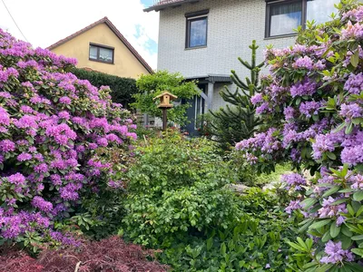 ExteriorSummer