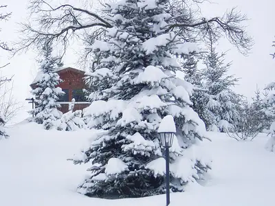 outside