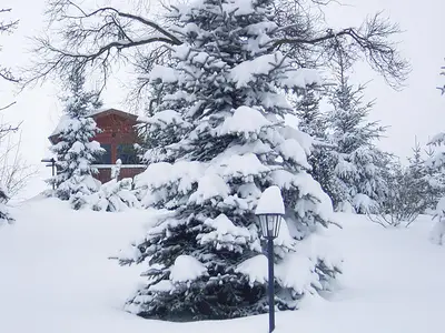 outside