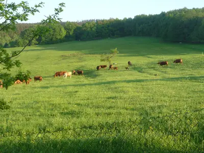 Ferienwohnung für 2 Personen (33 m²) in Waltershausen 2/10