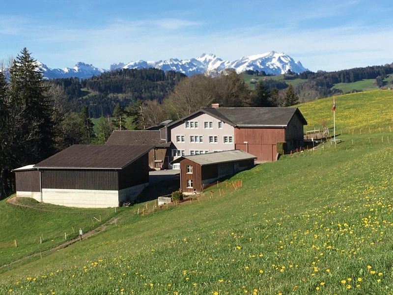 Ferienwohnung Rempfler Lachen-Walzenhausen