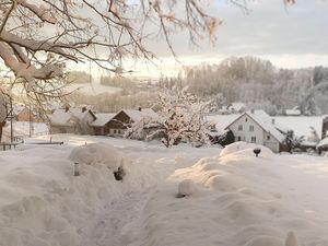 23218611-Ferienwohnung-2-Wangen im Allgäu-300x225-5