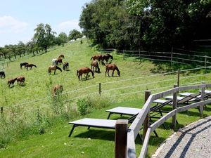 23534928-Ferienwohnung-8-Wangen im Allgäu-300x225-1