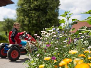 23696740-Ferienwohnung-4-Wangen im Allgäu-300x225-5