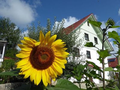 Ferienwohnung für 2 Personen (30 m²) in Wangen im Allgäu 1/10