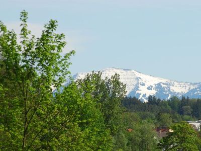 Ferienwohnung für 4 Personen (60 m²) in Wangen im Allgäu 9/10