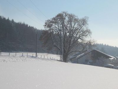 Ferienwohnung für 3 Personen (47 m²) in Wangen im Allgäu 8/10