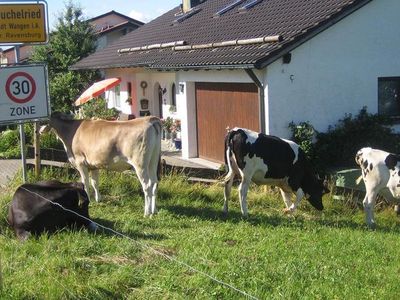 Ferienwohnung für 3 Personen (47 m²) in Wangen im Allgäu 10/10