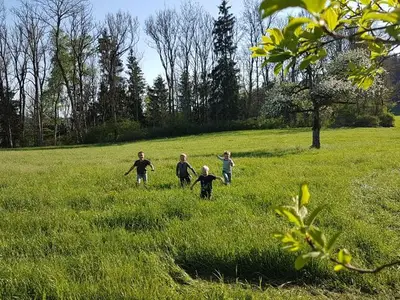 Ferienwohnung für 6 Personen (105 m²) in Wangen im Allgäu 5/10