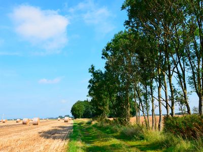 Ferienwohnung für 2 Personen (23 m²) in Wangerland 9/10