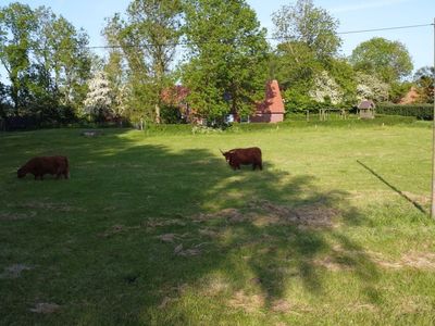 Ferienwohnung für 4 Personen (62 m²) in Wangerland 9/10