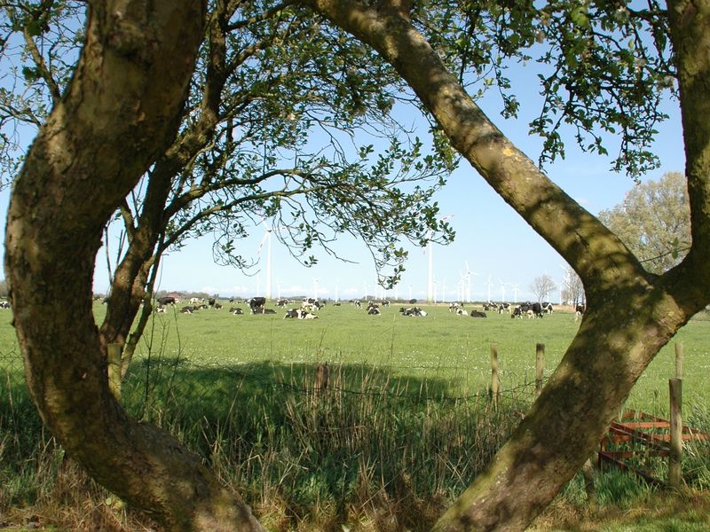 23444542-Ferienwohnung-5-Wangerland-800x600-2