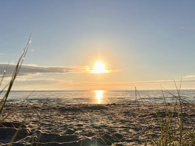 Ferienwohnung für 2 Personen (33 m²) in Wangerland 1/10