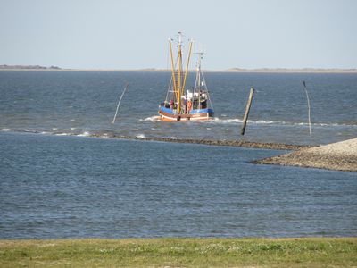 Kuttertour Neuharlingersiel