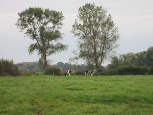 22099069-Ferienwohnung-2-Wangerland-300x225-5