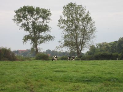 Ferienwohnung für 2 Personen (40 m²) in Wangerland 6/10