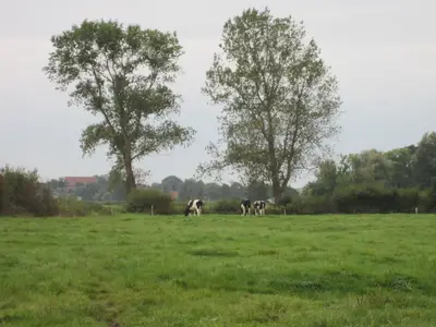 Ferienwohnung für 2 Personen (40 m²) in Wangerland 6/10