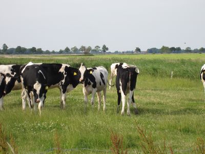 Ferienwohnung für 2 Personen (40 m²) in Wangerland 8/10