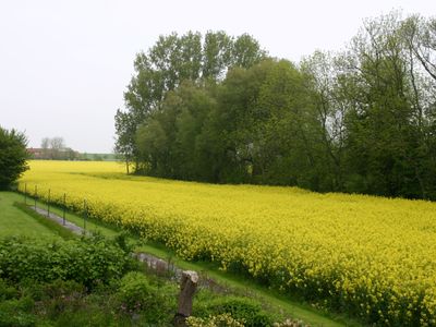 Ferienwohnung für 4 Personen (60 m²) in Wangerland 7/10