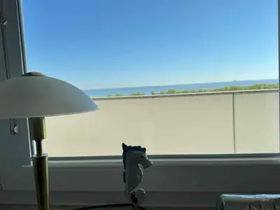 Ferienwohnung für 2 Personen (45 m²) in Wangerland 10/10
