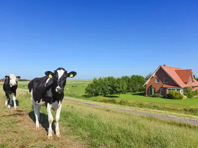 Ferienwohnung für 5 Personen (65 m²) in Wangerland 5/10
