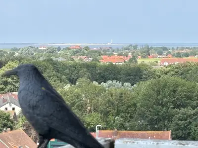 Ferienwohnung für 2 Personen (30 m²) in Wangerland 7/10