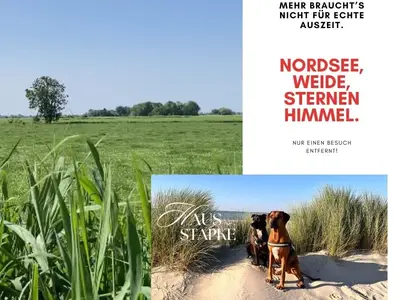 Ferienwohnung für 3 Personen (45 m²) in Wangerland 4/10