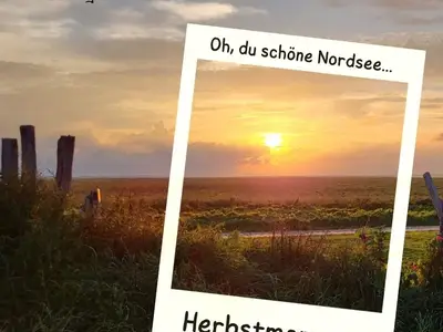 Ferienwohnung für 5 Personen (100 m²) in Wangerland 1/10