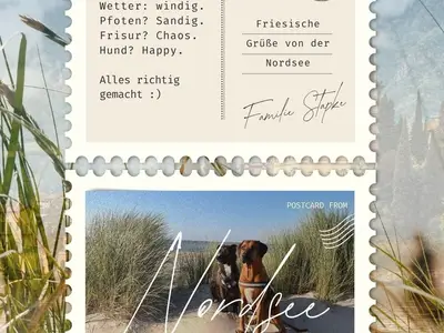 Ferienwohnung für 5 Personen (100 m²) in Wangerland 2/10