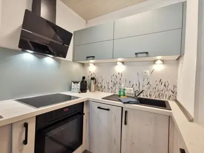 Ferienwohnung für 3 Personen (35 m²) in Wangerland 6/10