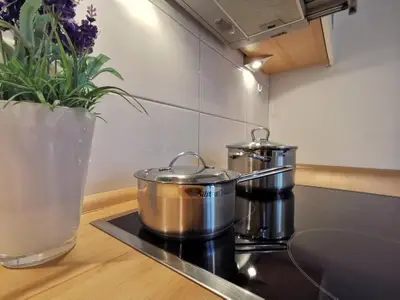 Ferienwohnung für 4 Personen (75 m²) in Wangerland 8/10