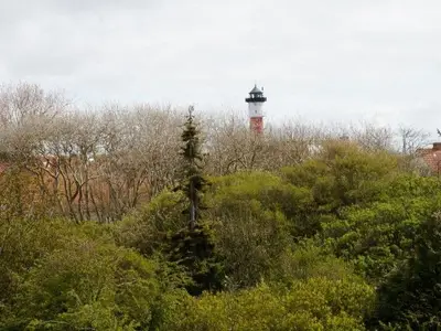 Ferienwohnung für 6 Personen (70 m²) in Insel Wangerooge 3/10