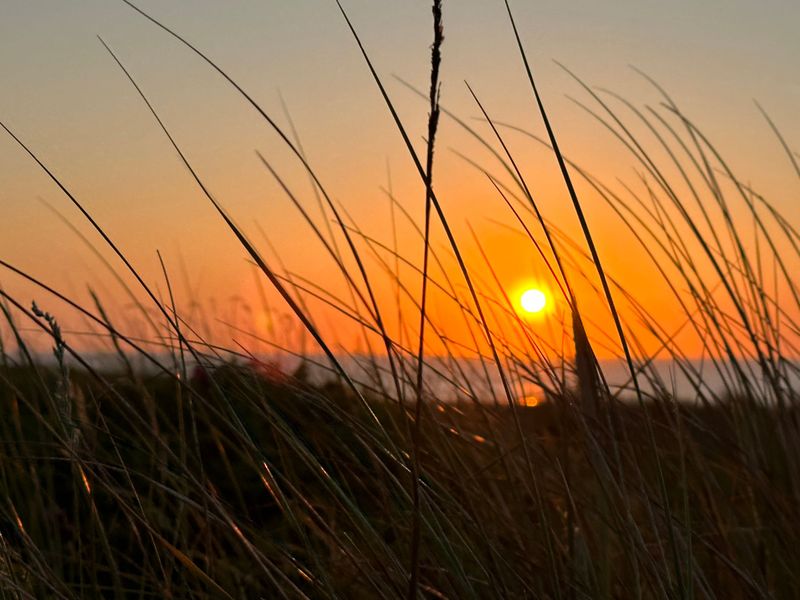 23685884-Ferienwohnung-4-Wangerooge-800x600-1