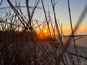 24017321-Ferienwohnung-5-Wangerooge-300x225-2