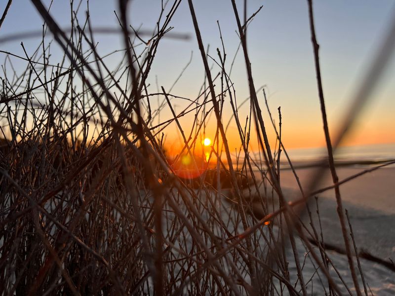 24017321-Ferienwohnung-5-Wangerooge-800x600-2