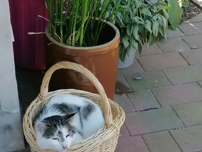 Auch hier läßt es sich gut aushalten!