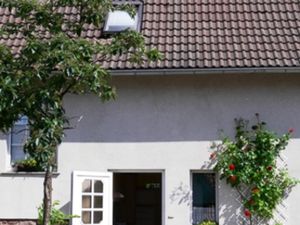 Ferienwohnung für 4 Personen (60 m²) in Waren (Müritz)