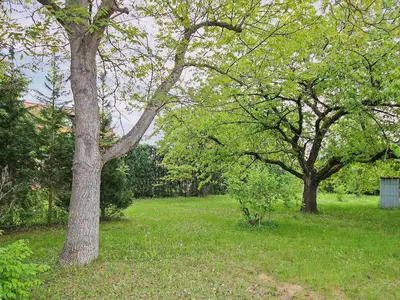 outside