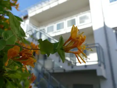 Ferienwohnung für 3 Personen (46 m²) in Waren (Müritz) 3/10