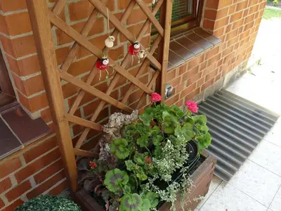 Ferienwohnung für 2 Personen (35 m²) in Waren (Müritz) 2/10