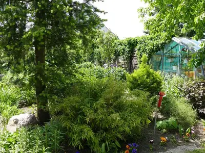 Ferienwohnung für 2 Personen (35 m²) in Waren (Müritz) 4/10