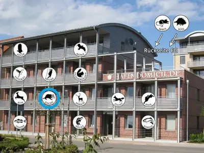 Ferienwohnung für 2 Personen (40 m²) in Waren (Müritz) 7/10